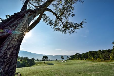 7 Day Dalat And Nha Trang Golf
